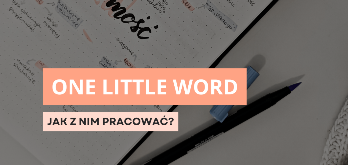 Jak pracować z One Little Word?